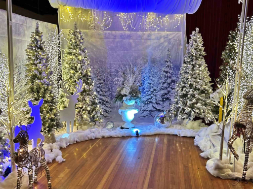 Winter-themed photo station with lit up Christmas trees and deer decorations